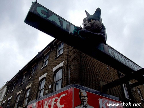 創(chuàng)意屋頂設計