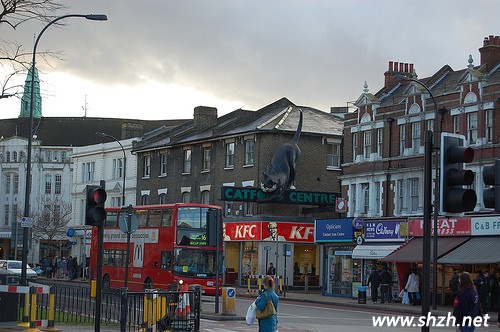 創(chuàng)意屋頂設計