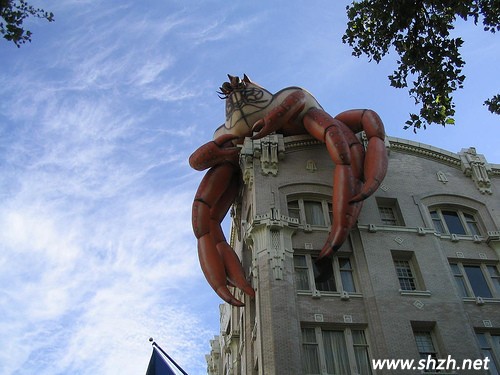 創(chuàng)意屋頂設計